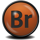 Adobe Bridge CS4 icon